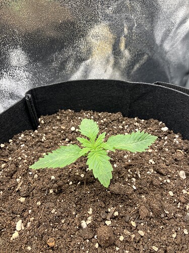Growreport Bild 14