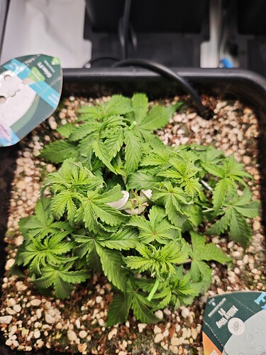 MVIMG_20251009_175448