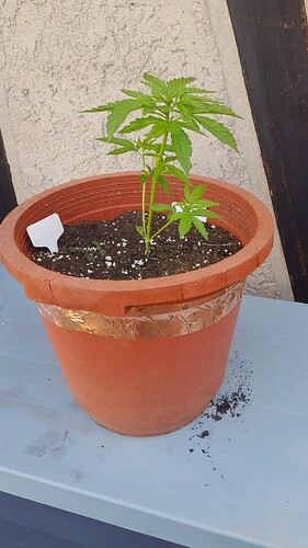 Growreport Bild 24