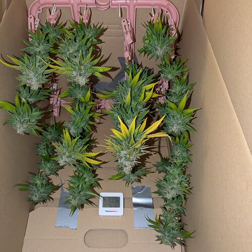Growreport Bild 12
