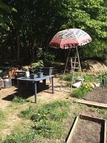 Growreport Bild 30