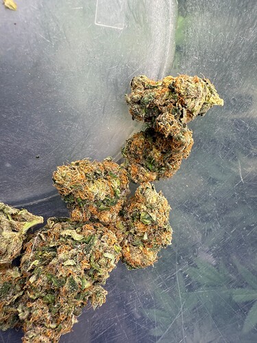 Growreport Bild 23