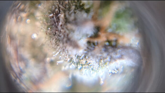 Growreport Bild 4