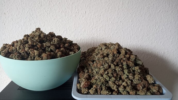 Growreport Bild 9