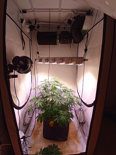 Growreport Bild 4