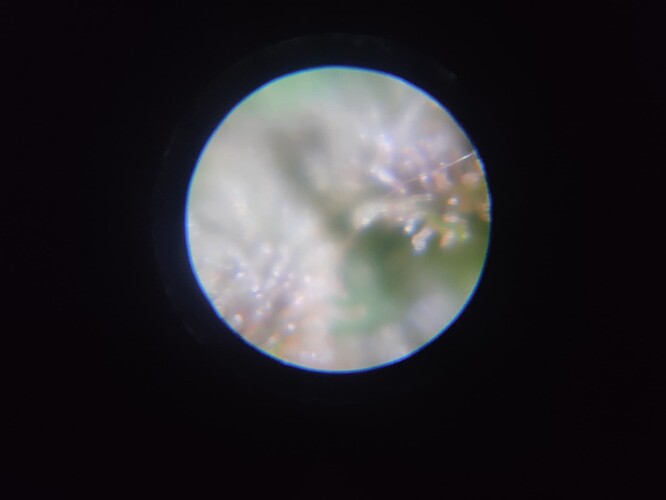 Growreport Bild 15