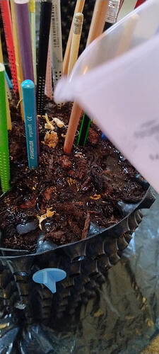 Growreport Bild 19