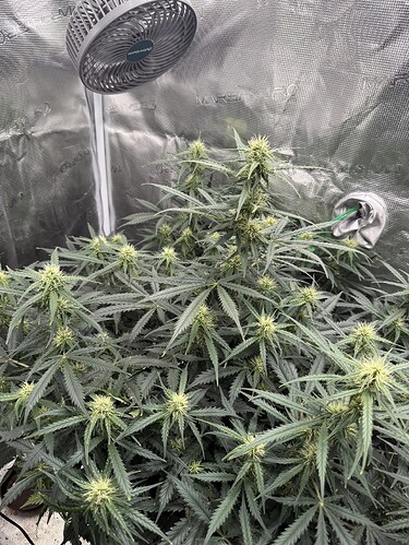 Growreport Bild 3