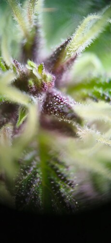 Growreport Bild 24