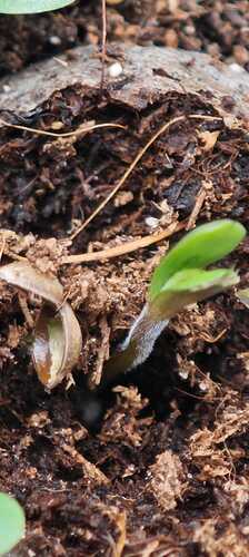 Growreport Bild 23