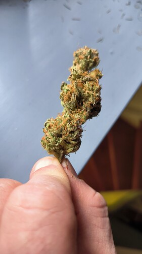 Growreport Bild 10