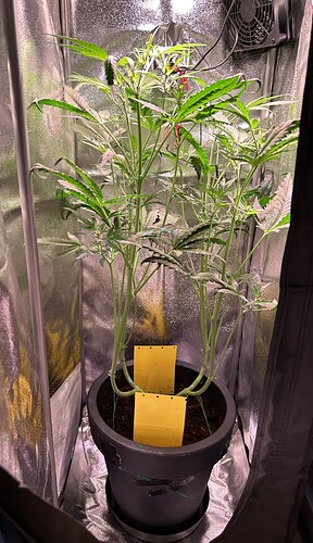 Growreport Bild 10