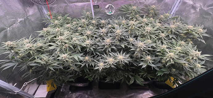 Foto 20.01.26, 16 44 35