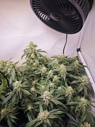 MVIMG_20251112_212312