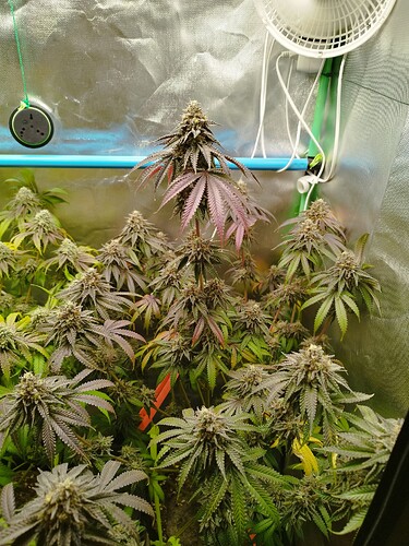 Growreport Bild 16
