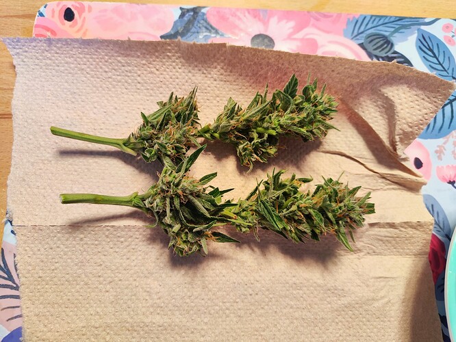 Growreport Bild 4