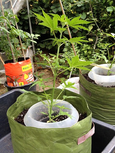Growreport Bild 16