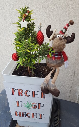 Frohe Highnacht 007b - Kopie