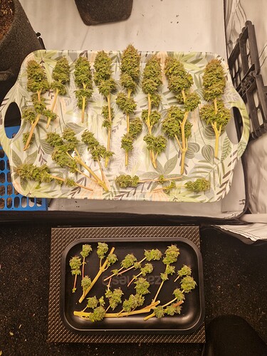 Growreport Bild 13