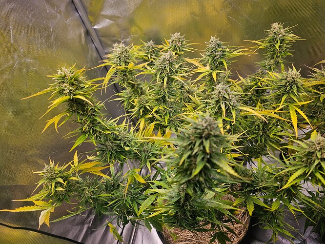 Growreport Bild 14