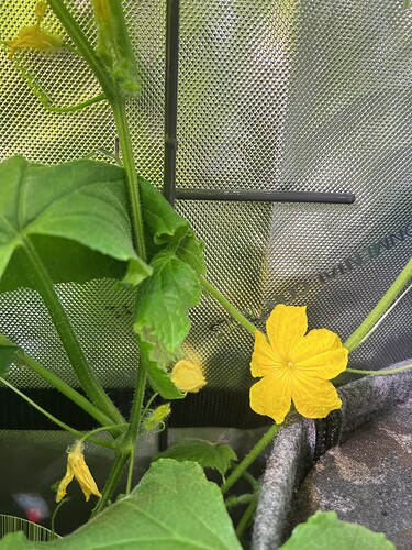 Growreport Bild 10