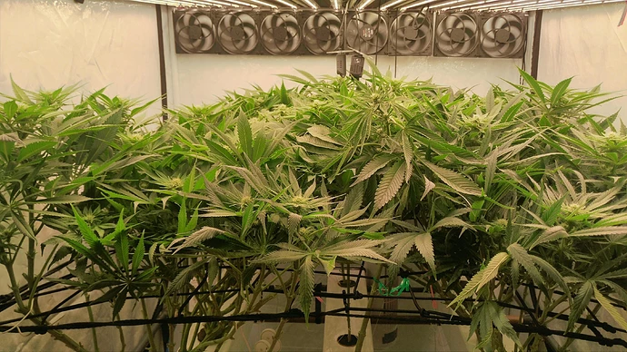 IMG_20240624_014418_HDR