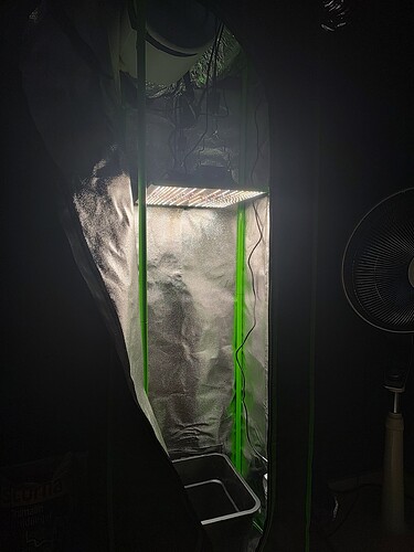 IMG_20240314_110017453_HDR