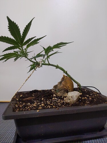 IMG_20240310_115938_271