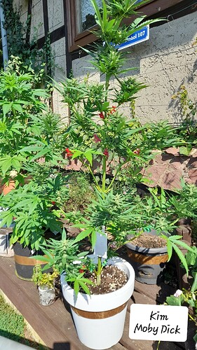 Growreport Bild 10
