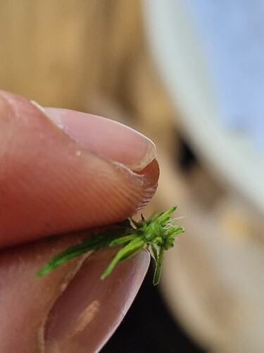 Growreport Bild 7