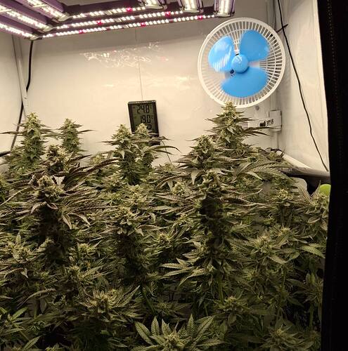 479190326_122168106638293599_780081155039439136_n