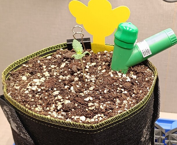 Growreport Bild 2