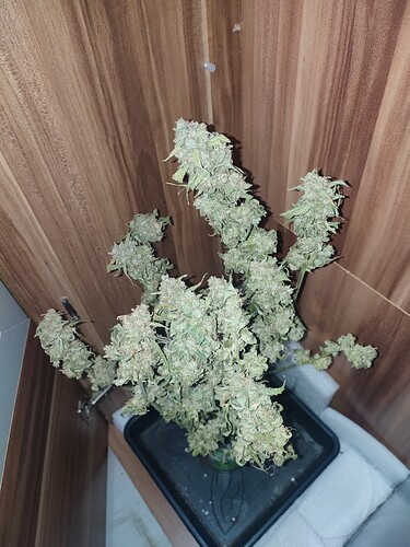 Growreport Bild 16