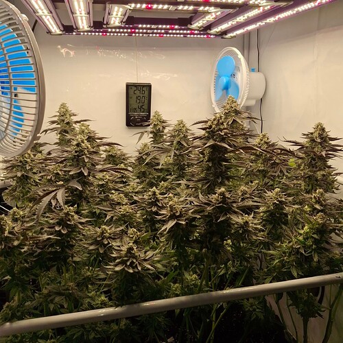 480189030_122169240278293599_1331321882814601889_n