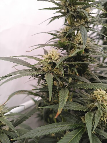 Growreport Bild 22