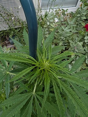 Growreport Bild 3