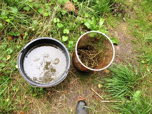 Growreport Bild 22