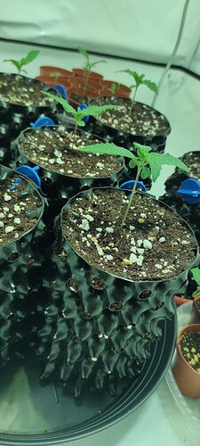 photo_5445148517438969842_y