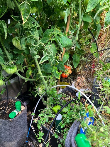 Growreport Bild 7