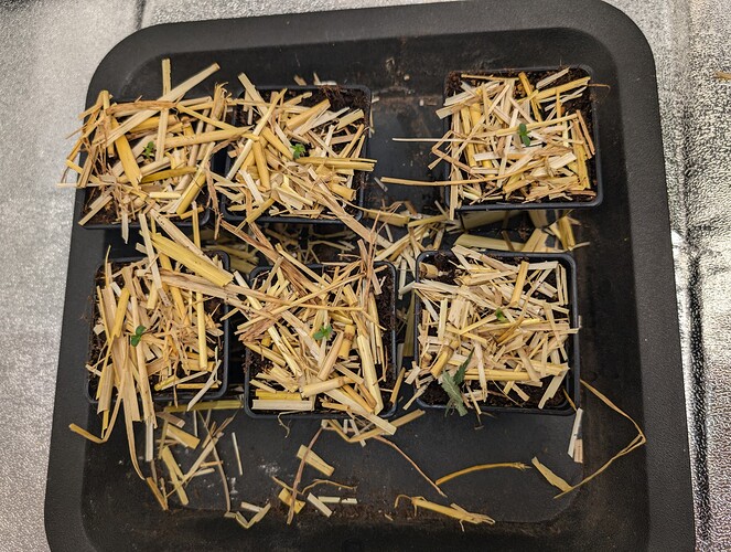 PXL_20240629_183334489