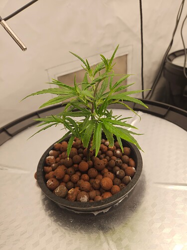 Growreport Bild 25