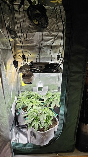 Growreport Bild 28