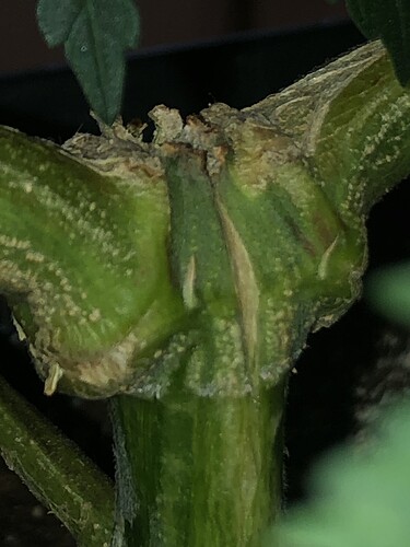 Growreport Bild 10