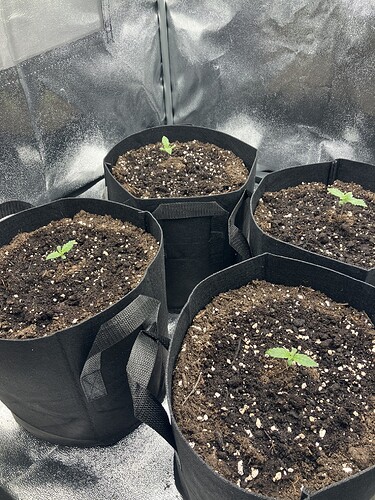 Growreport Bild 10