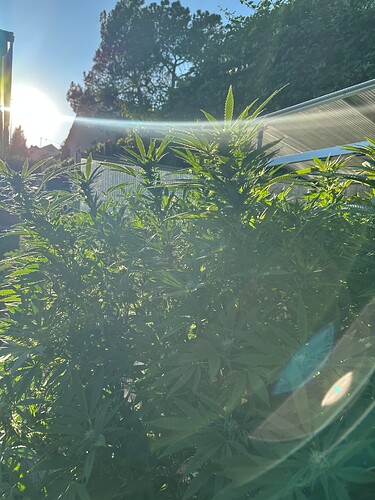 Growreport Bild 60