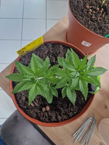 WhatsApp Image 2024-05-24 at 16.08.12