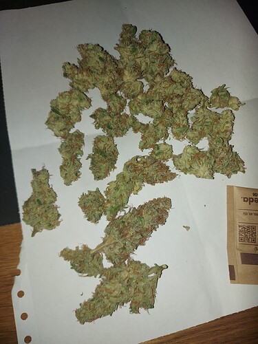Growreport Bild 3