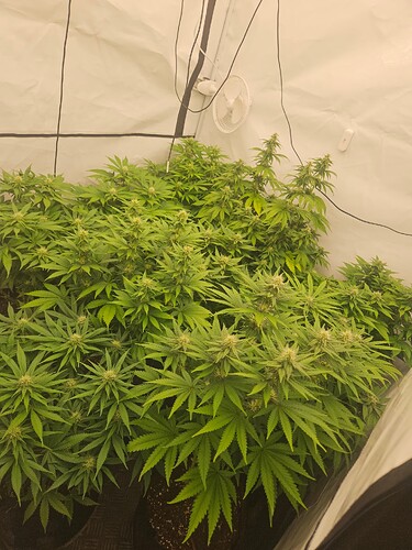 Growreport Bild 9