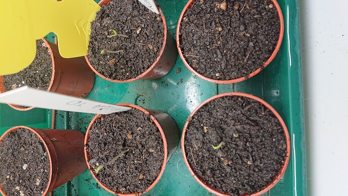 Growreport Bild 19