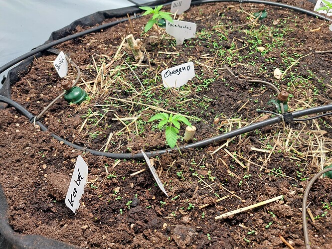 Growreport Bild 10